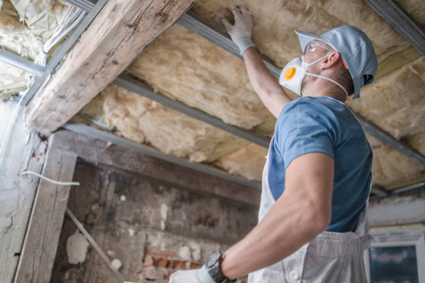 Best Insulation for Specific Applications in Minden, NV