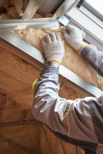 Best Spray Foam Insulation in Minden, NV