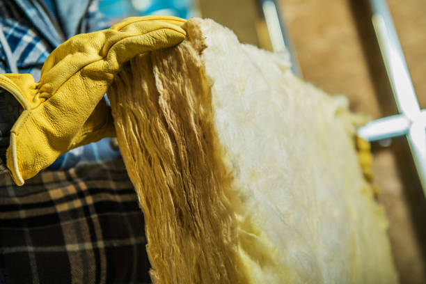 Best Insulation Maintenance and Repair in Minden, NV