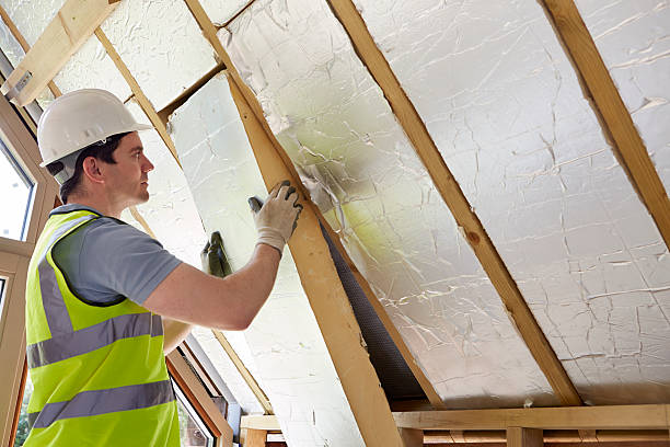 Best Eco-Friendly Insulation in Minden, NV