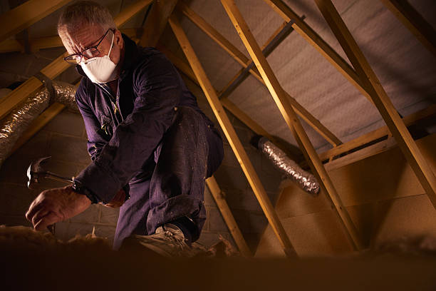 Best Energy Efficiency Insulation in Minden, NV