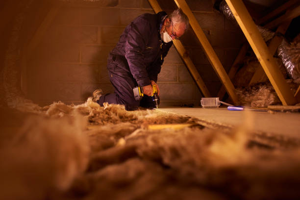 Best Cellulose Insulation in Minden, NV