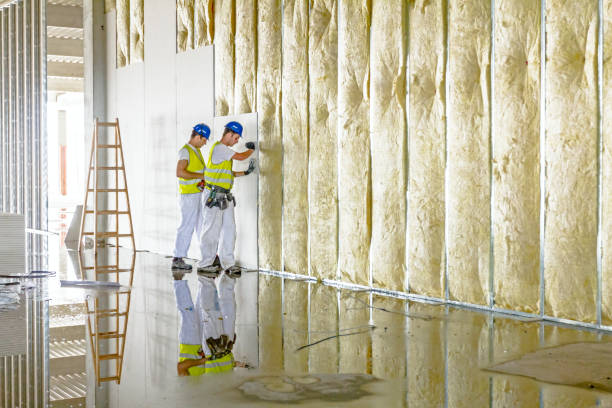 Best Insulation Maintenance and Repair in Minden, NV